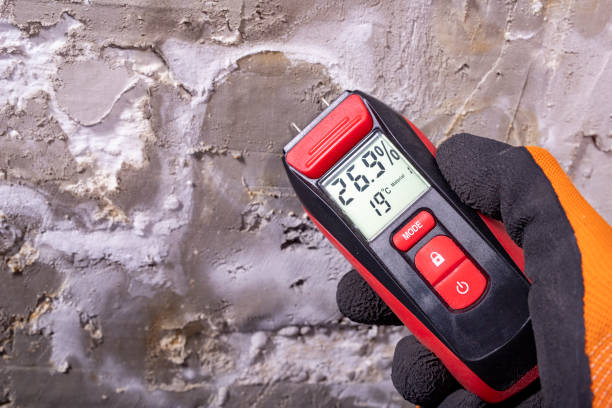 Best Kitchen Mold Remediation in Rafter J Ranch, WY