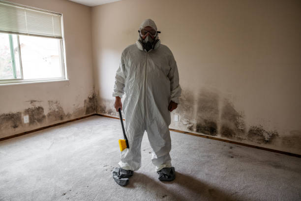 Best White Mold Remediation in Rafter J Ranch, WY